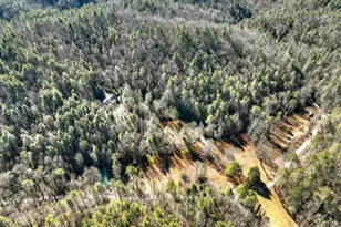 7233 Shakerag Rd, Ellijay, GA 30540 - Photo 80