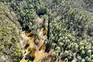 7233 Shakerag Rd, Ellijay, GA 30540 - Photo 104