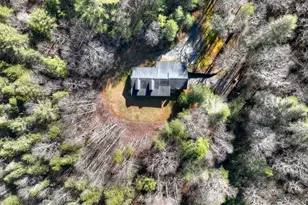 7233 Shakerag Rd, Ellijay, GA 30540 - Photo 60