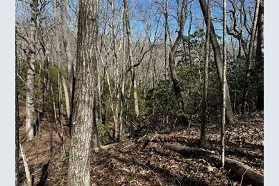 206 Northview Parkway, Ellijay, GA 30536 - Photo 28