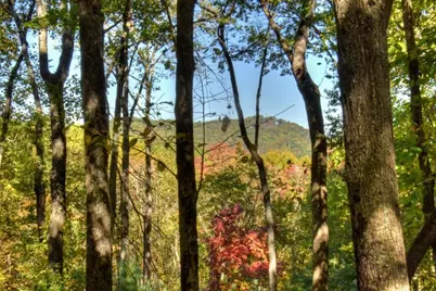 9 Joanna Court, Cherrylog, GA 30513 - Photo 34