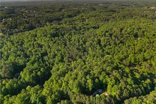 311 Woodland Brook Dr, Canton, GA 30115 - Photo 58