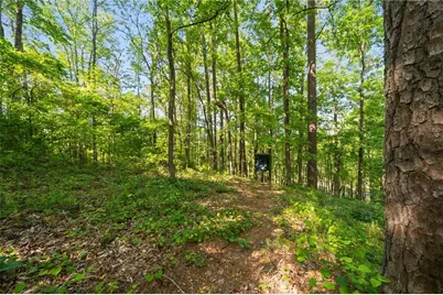 311 Woodland Brook Drive, Canton, GA 30115 - Photo 62