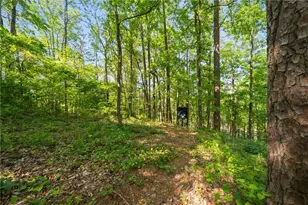 311 Woodland Brook Dr, Canton, GA 30115 - Photo 62
