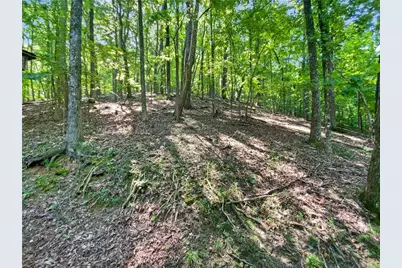 764 Chestnut Cove Trail, Jasper, GA 30143 - Photo 10