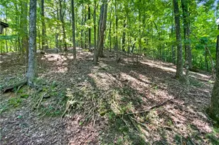 764 Chestnut Cove Trail, Jasper, GA 30143 - Photo 10