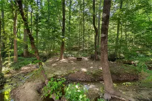 4330 Manor Creek Dr, Cumming, GA 30040 - Photo 44