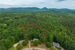 93 Horseshoe Bend, Jasper, GA 30143 - Photo 58