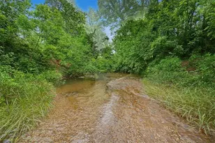 151 Preserve Pkwy, Ball Ground, GA 30107 - Photo 54