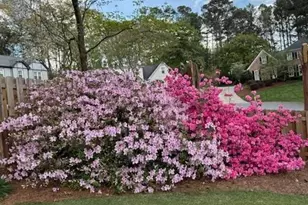 886 Marbrook Dr, Lawrenceville, GA 30044 - Photo 58