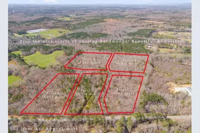 Tract5 Georgia Highway 100, Buchanan, GA 30113 - Photo 2