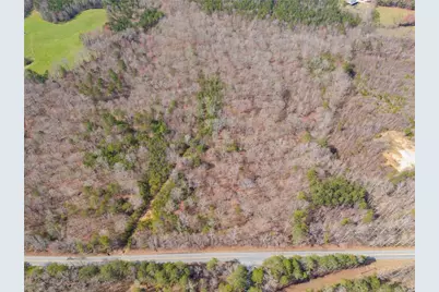 Tract5 Georgia Highway 100, Buchanan, GA 30113 - Photo 6