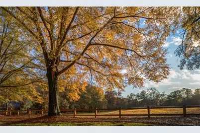 230 Truehedge Trace, Roswell, GA 30076 - Photo 52