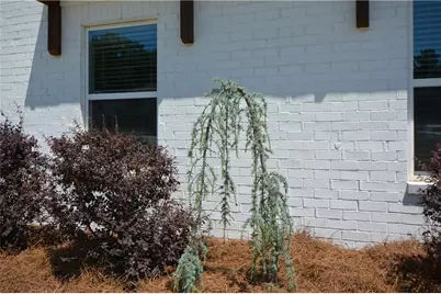 65 Starr Place, Newnan, GA 30263 - Photo 84
