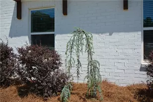 65 Starr Pl, Newnan, GA 30263 - Photo 84