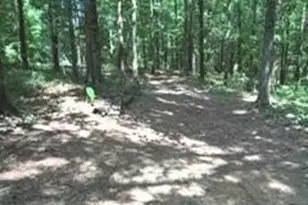943 Boss Hardy Rd, Winder, GA 30680 - Photo 4