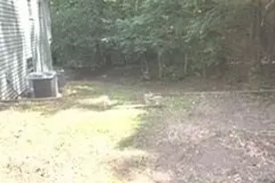 943 Boss Hardy Rd, Winder, GA 30680 - Photo 24