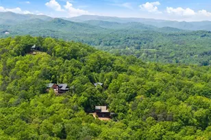 161 Huntington Way, Blue Ridge, GA 30513 - Photo 62