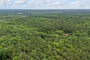 2256 Shadow Wood Dr, Monroe, GA 30656 - Photo 74