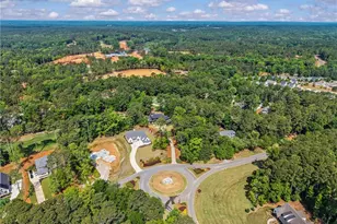 1701 Osprey Poynte, Greensboro, GA 30642 - Photo 4