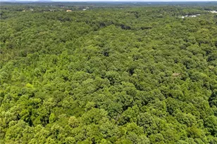 3807 A.L. Mangum Rd, Talmo, GA 30575 - Photo 58