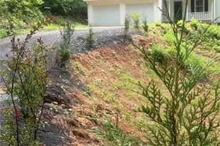 64 Hickory Ln, Dahlonega, GA 30533 - Photo 50