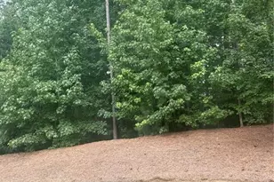 154 Bellehaven Dr, Woodstock, GA 30188 - Photo 28