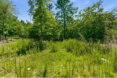 0 Williams Road SE, Silver Creek, GA 30173 - Photo 34