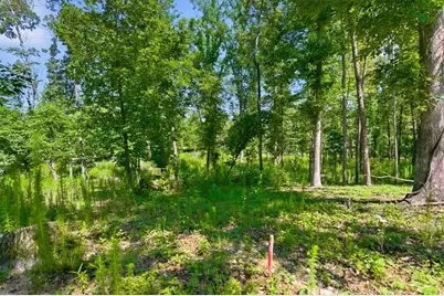 0 Williams Road SE, Silver Creek, GA 30173 - Photo 18