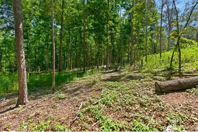 0 Williams Road SE, Silver Creek, GA 30173 - Photo 20