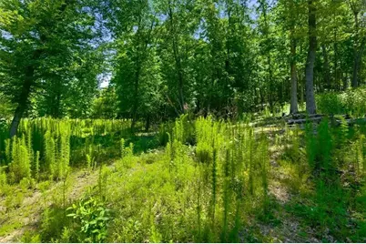 0 Williams Road SE, Silver Creek, GA 30173 - Photo 26