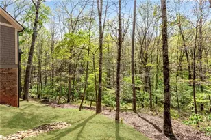 370 Mountain Trace Dr, Dahlonega, GA 30533 - Photo 38