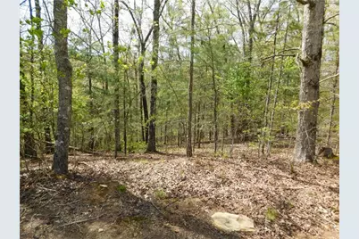 0 Dallas Lane, Blue Ridge, GA 30513 - Photo 16