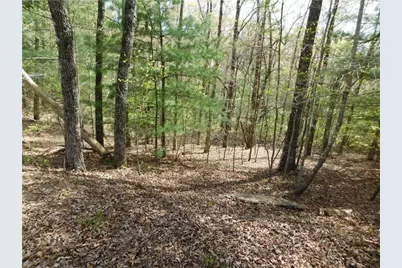 0 Dallas Lane, Blue Ridge, GA 30513 - Photo 10