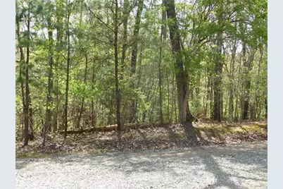 0 Dallas Lane, Blue Ridge, GA 30513 - Photo 6