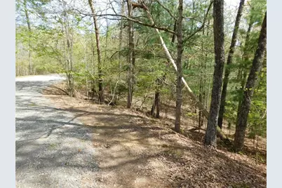 0 Dallas Lane, Blue Ridge, GA 30513 - Photo 12