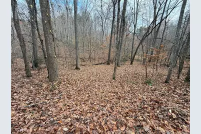 0 Falling Pines Road, Dahlonega, GA 30533 - Photo 6
