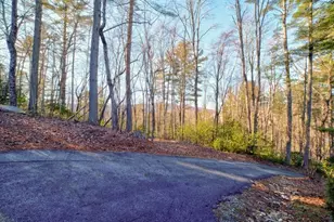 138 Lucius Lane, Cherrylog, GA 30522 - Photo 40