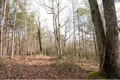 1 Amber Court, Jasper, GA 30143 - Photo 2
