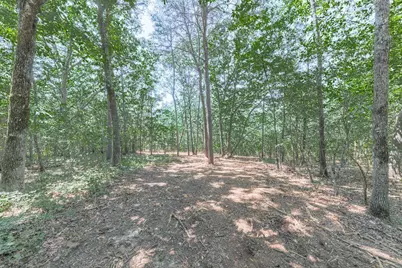 769 Rockhouse Road, Waleska, GA 30183 - Photo 4