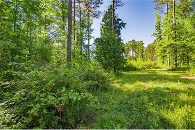 0 Weaver Jones Road, Rutledge, GA 30663 - Photo 18