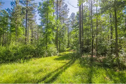 0 Weaver Jones Road, Rutledge, GA 30663 - Photo 10