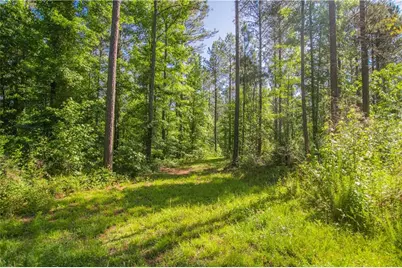 0 Weaver Jones Road, Rutledge, GA 30663 - Photo 22