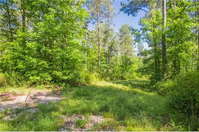 0 Weaver Jones Road, Rutledge, GA 30663 - Photo 16