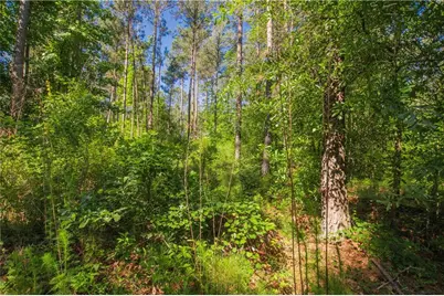 0 Weaver Jones Road, Rutledge, GA 30663 - Photo 8