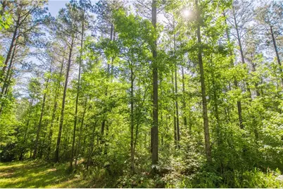 0 Weaver Jones Road, Rutledge, GA 30663 - Photo 12