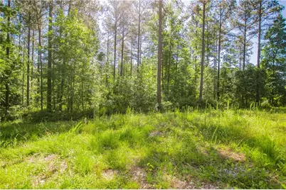 0 Weaver Jones Road, Rutledge, GA 30663 - Photo 20