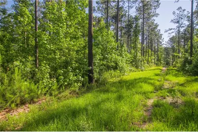 0 Weaver Jones Road, Rutledge, GA 30663 - Photo 2