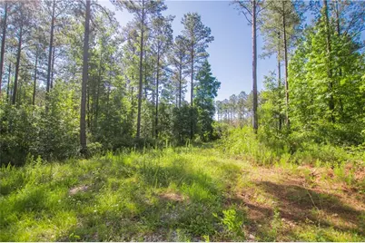 0 Weaver Jones Road, Rutledge, GA 30663 - Photo 14