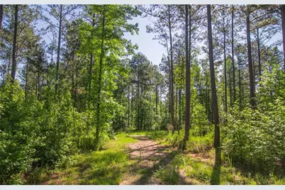 0 Weaver Jones Road, Rutledge, GA 30663 - Photo 6